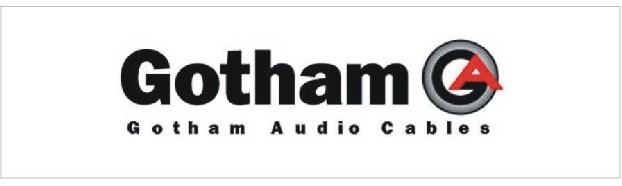 gotham logo v ramceku